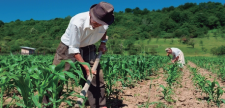 En Búsqueda de una Reforma Agraria Estructural en Colombia