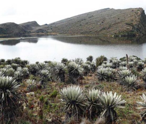 El Páramo más Grande del Mundo en Colombia