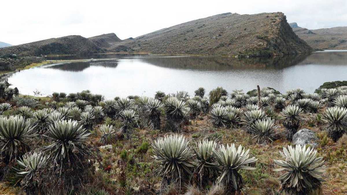 El Páramo más Grande del Mundo en Colombia