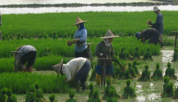 Programa Agroalimentario ONALDEP