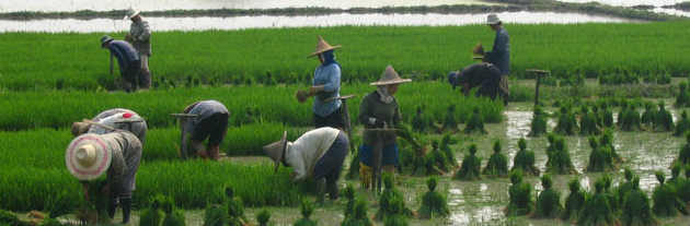 Programa Agroalimentario ONALDEP